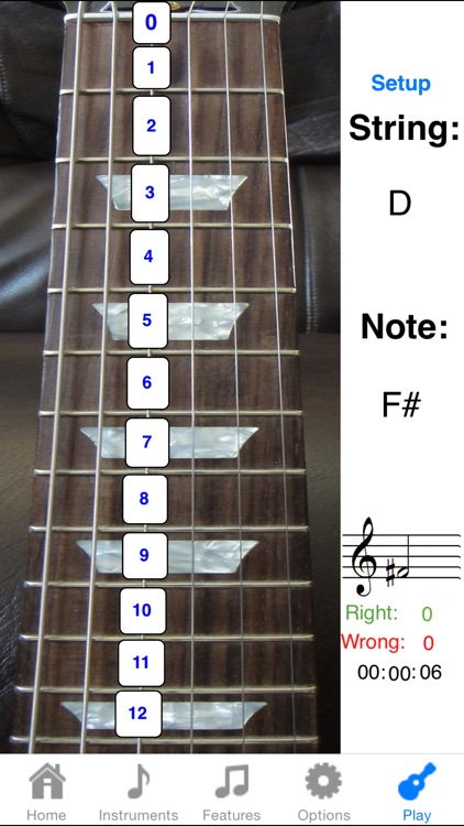 Electric Guitar Fretboard Addict