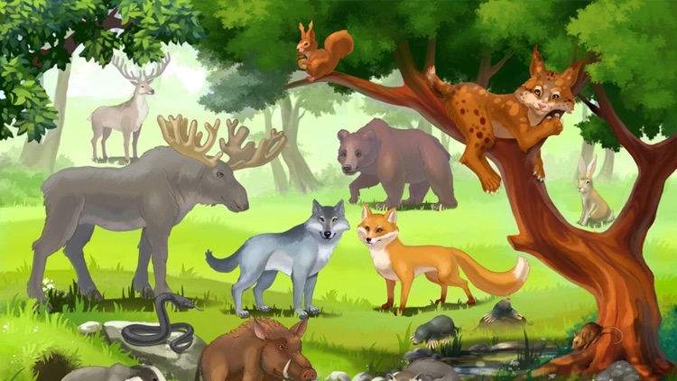 Forest Animals For Kids 3
