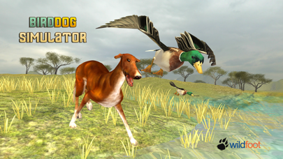 Bird Dog Chase Simulator screenshot 1