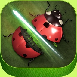 Amazing Bug Slicer Ninja: Bonsai War Heroes