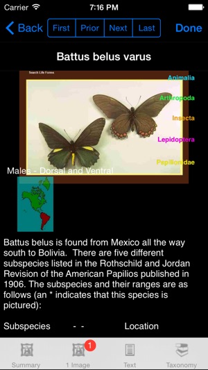 Butterflies of the World - A Butterfly App(圖4)-速報App