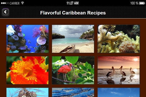 Caribbean Recipes from Flavorful Apps® screenshot 4