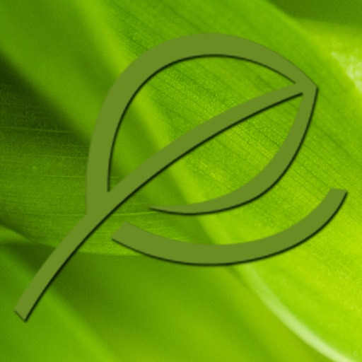 Verde Salon & Day Spa icon