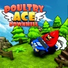 Poultry ACE Downhill Car Fun