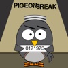 Pigeon Break