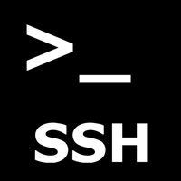 SSH Terminal pour PC