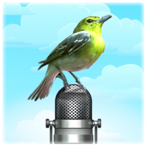 Bird Picture & Sound For iPad Pro icon