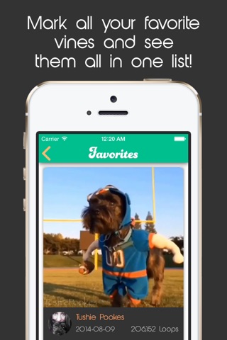 Random Vines - Play and Download Top Popular Videos and Short Clips screenshot 2