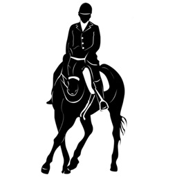 Dressage Memoriser