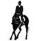 Dressage Memoriser helps you learn and remember ANY dressage test