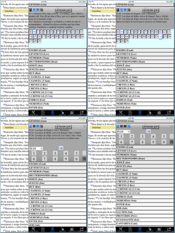 Español Santa Biblia (Spanish Modern Translation)HD screenshot 4
