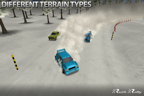 Rush Rally screenshot 3