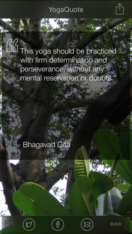 Daily Yoga Quotes - Inspirational Yoga Quote of the Day screenshot-3