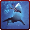 愤怒的鲨鱼袭击模拟器 - 杀手捕食者模拟游戏