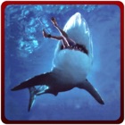 Verärgerte Shark Attack Simulator - Killer Raubtier-Simulationsspiel icon