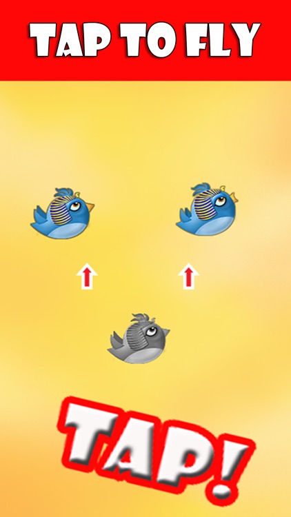 Chick Fly or Die - Easy tap tap flying chicken game