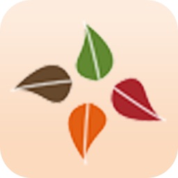 Seasons Fin Group Inc.