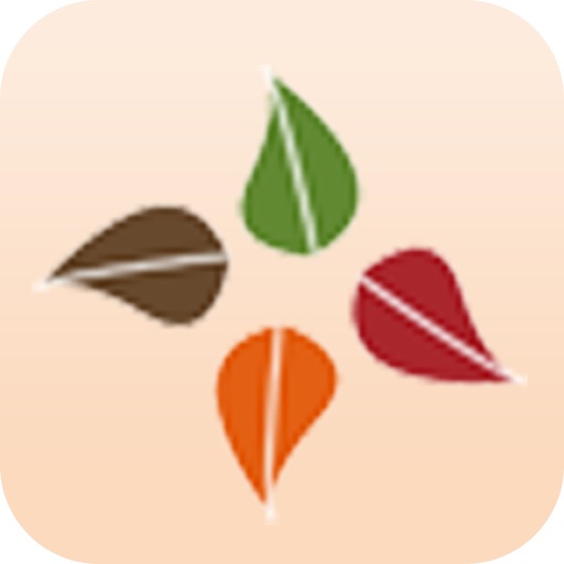 Seasons Fin Group Inc.