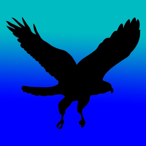 Birds of Prey Slider Game iOS App