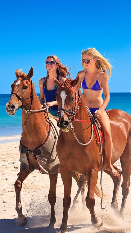 Dream Horses - Art Gallery: Breeds & Types, Racetrack & Tournaments, Photos & Paintings screenshot-4