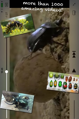 BugPedia screenshot 2