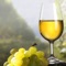 Welcome to the Oregon Winery Finder Application