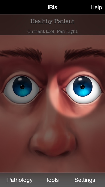iRis Interactive screenshot-3