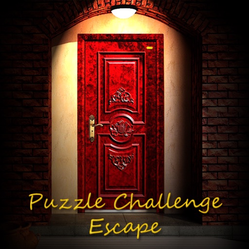 Puzzle Challenge Escape Game