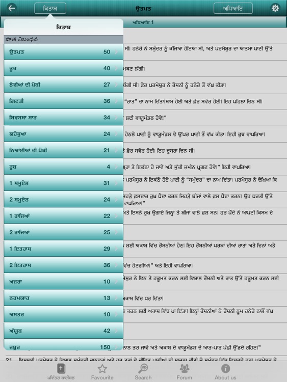 Punjabi Bible Offline for iPad screenshot-3