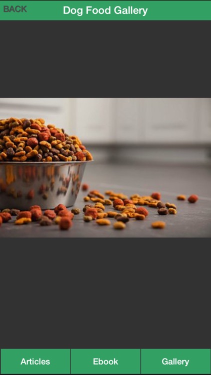 Dog Treat Guide - Homemade Dog Food for Your Dog Healthy !