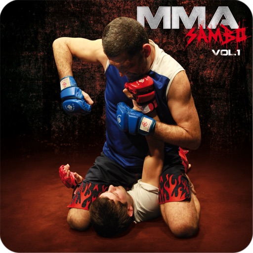 MMA - vol. 1 - Fighting Techniques