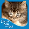 The Cat’s Meow from Chicken Soup for the Soul ®