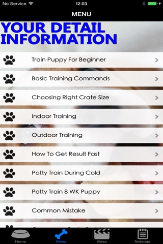 How To Potty Training A Puppy - Complete Guide screenshot 4