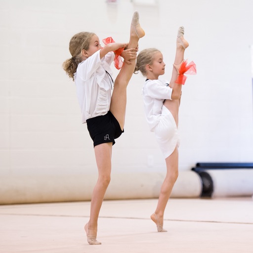 Gymnastics Academy