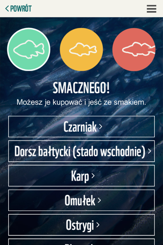 WWF Poradnik screenshot 4