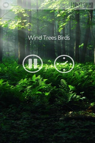 FOREST SOUND - Sound Therapy screenshot 4