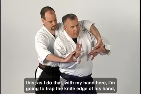 Aikido Fighting screenshot 3