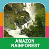 The Amazon Rainforest