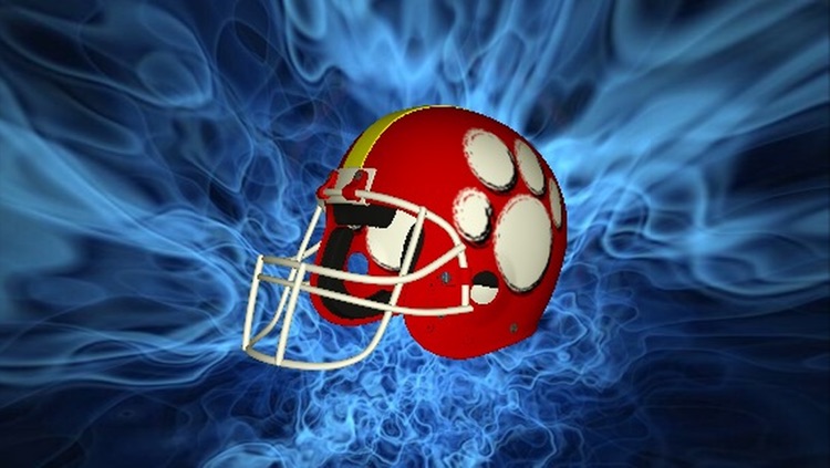 Football Helmet 3D - Design your helmet decals