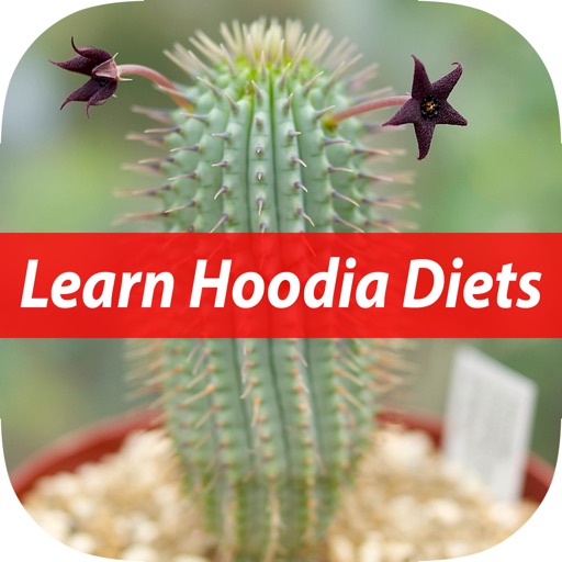 Facts of Hoodia Diet For Beginners icon