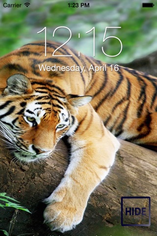 Amazing Tigers Wallpapers screenshot 3