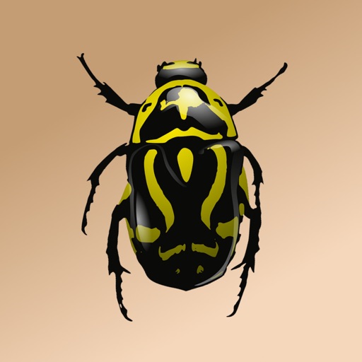 Splat the Insects icon