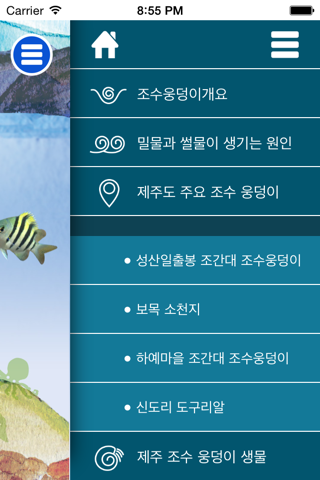 제주 조수웅덩이 screenshot 4