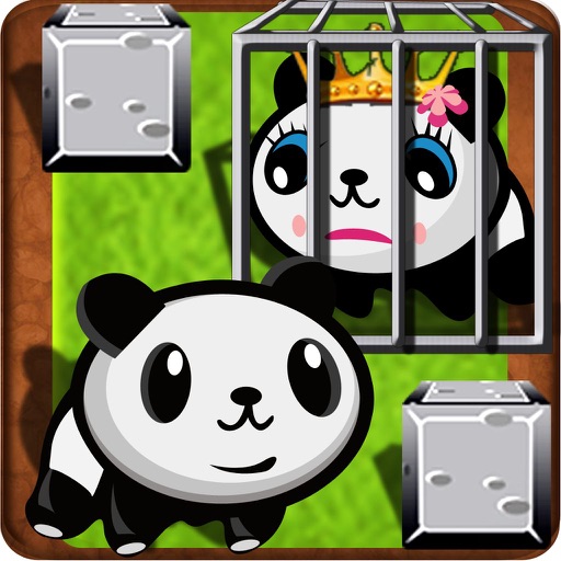 Save The Panda Queen