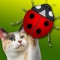 With Go-Cat® JitterBug your cat can practice catching little bugs anytime right on your smartphone or tablet