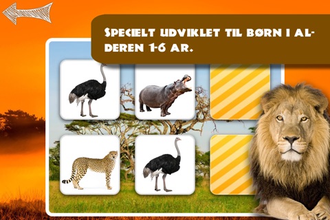 Free Memo Game Wild Animals Photo screenshot 2