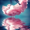 Water Reflection Effects HD - Photo Mirror & Light Blender to Clone Yourself