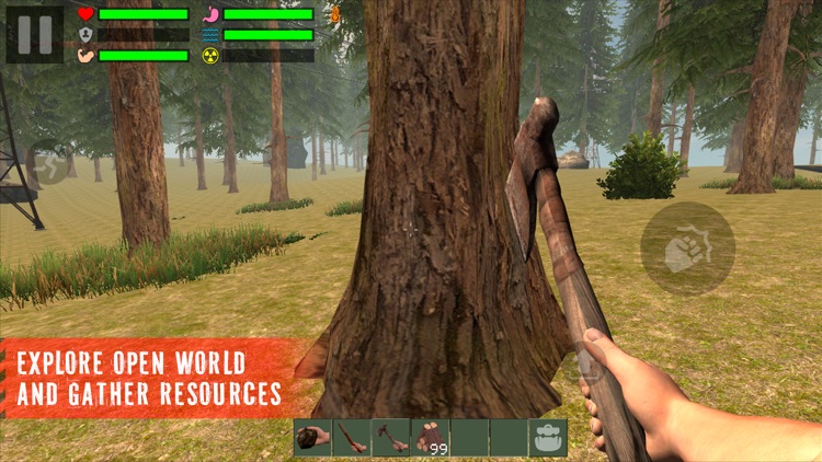 The Survivor: Rusty Forest