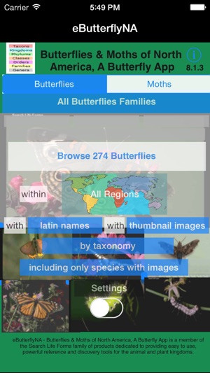 Butterflies & Moths of North America