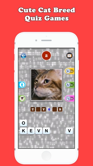 Cute Cat Breed Quiz Games(圖2)-速報App